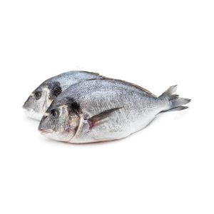 retail-fish